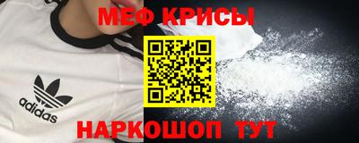 бошки Кингисепп