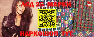 бошки Кингисепп