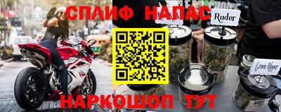 бошки Кингисепп