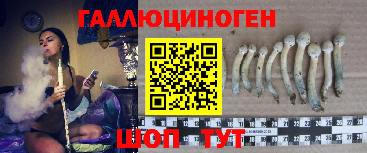 Псилоцибиновые грибы мухоморы  Вход с VPN  Галлюциногенные грибы мицелий  Ливны 